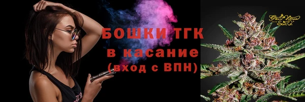 СК Алексин