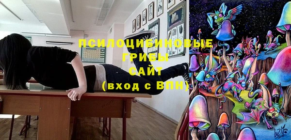 СК Алексин