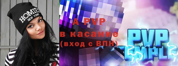 СК Алексин