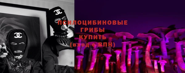 прущие грибы Алзамай