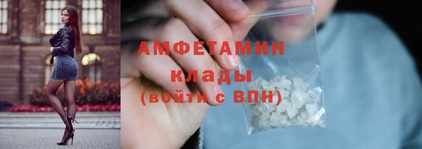 прущие грибы Алзамай