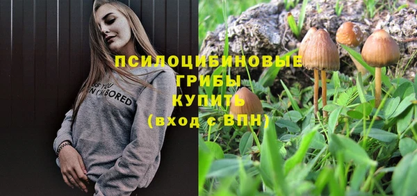 прущие грибы Алзамай